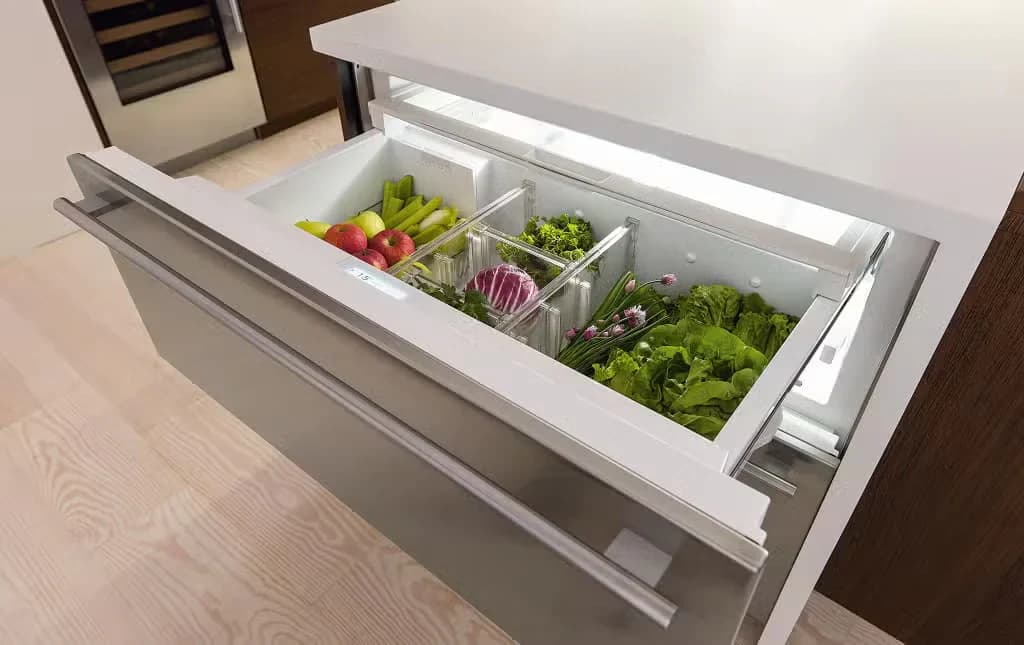 Detalhe de Designer Refrigerador/Gavetas de Freezer
